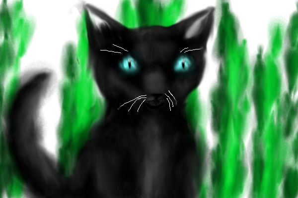 Black Cat by Fairygurl27