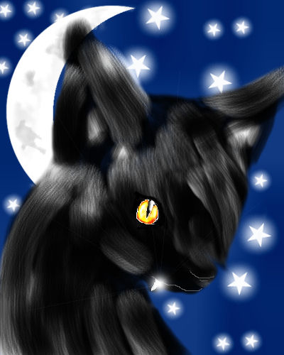 Random Black Wolf by Fairygurl27