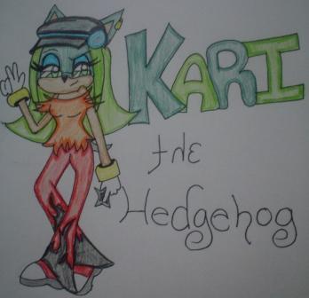 Kari The Hedgehog aka me^^ by FallingRaindrops