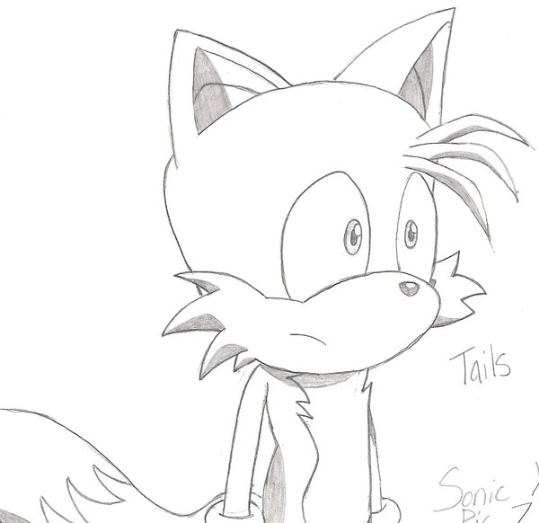 Sonic X: Tails by FanFictionist