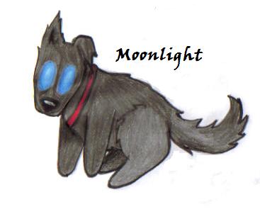 Moonlight(plushie 4 Phjasmine) by Finalkingdomheartsfantasy