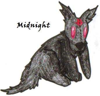 Midnight (plushie 4 Riku666) by Finalkingdomheartsfantasy