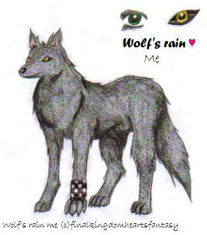 Wolf's rain Me(Neko) by Finalkingdomheartsfantasy