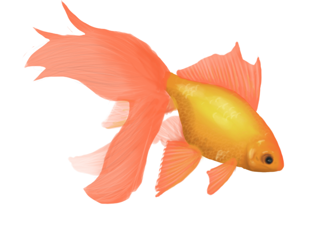 Goldfish PC by FireAnne
