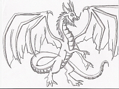 Dragon Sketch by FireWind