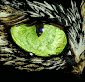 Cat's Eye by Firiel