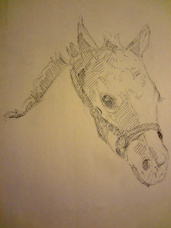 Foal by Firiel