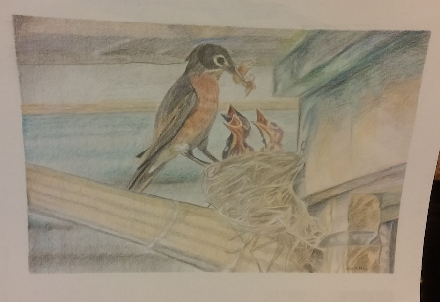 Robins' nest by Firiel