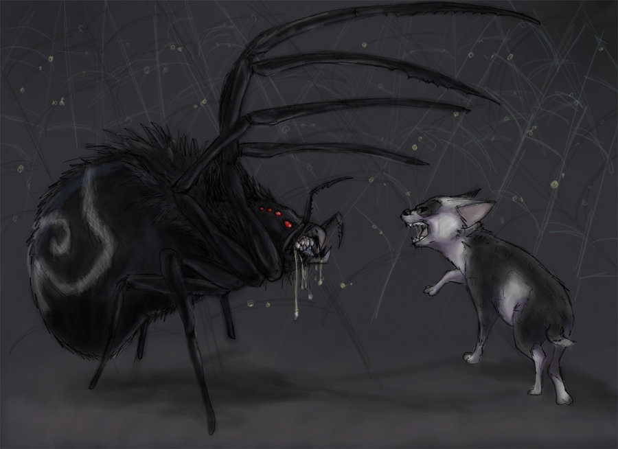Arachnophobia by Fisi