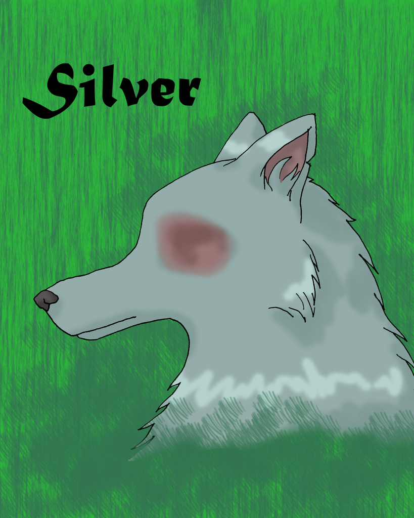 Silver by FlameShadow