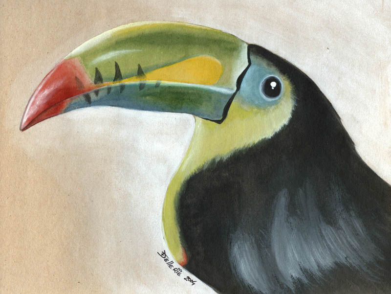 Toucan by Florence