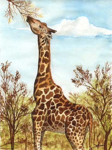 Girafe by Florence