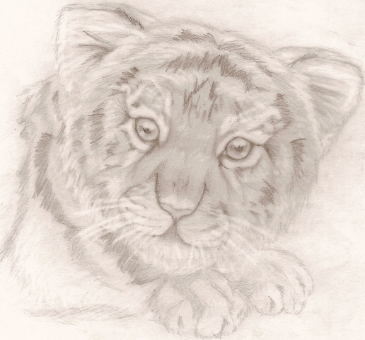 Baby tiger 2 by Fluffy_fan4774