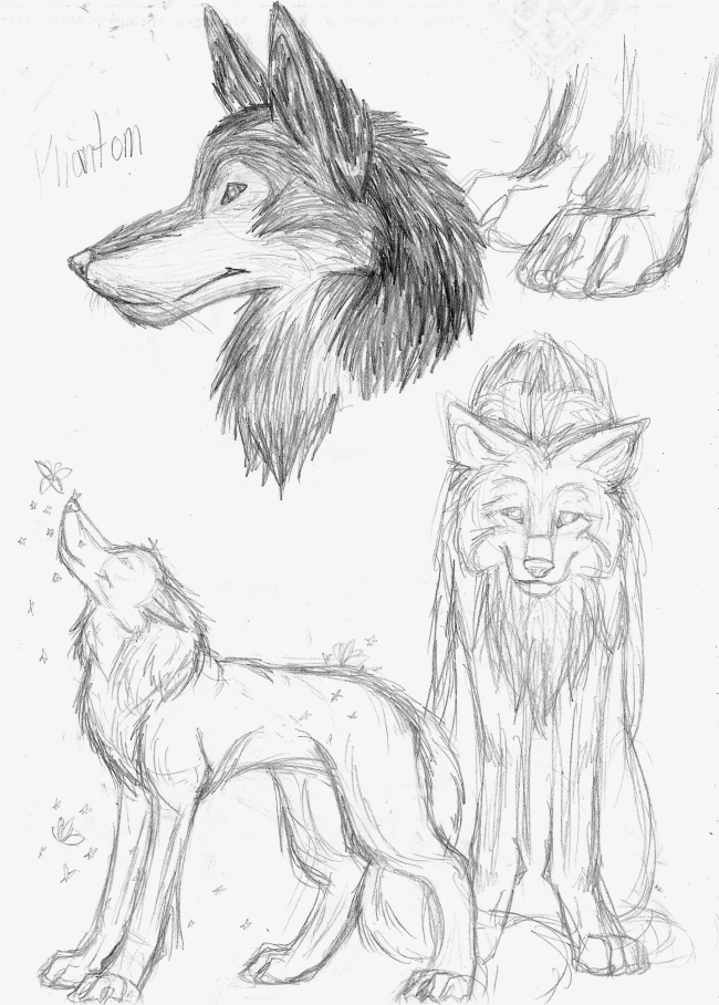 SB doodle's s *wolves* by Fluffy_fan4774