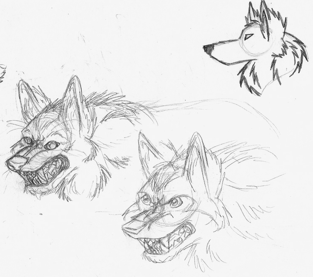 SB doodles 5 *more wolves* by Fluffy_fan4774