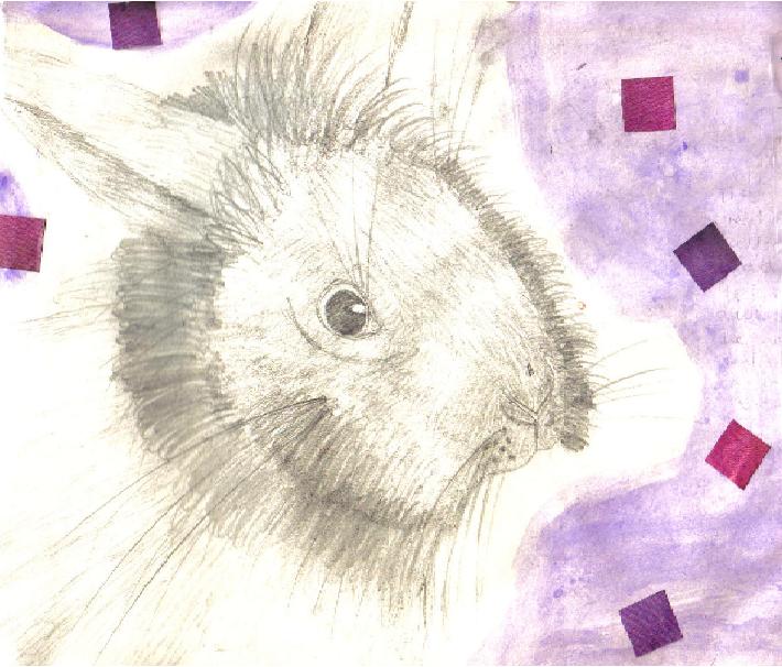 my rabbit: yugi-yami by Fluffybunny