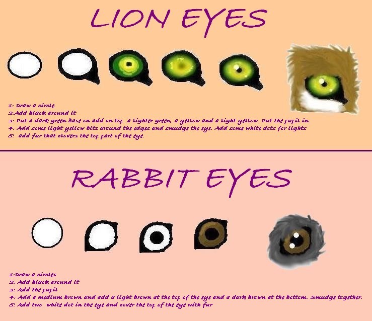 how to do animal eyes by Fluffybunny