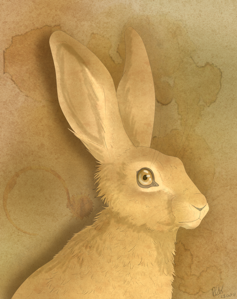 A Coffee Stained Hare by Fluffybunny