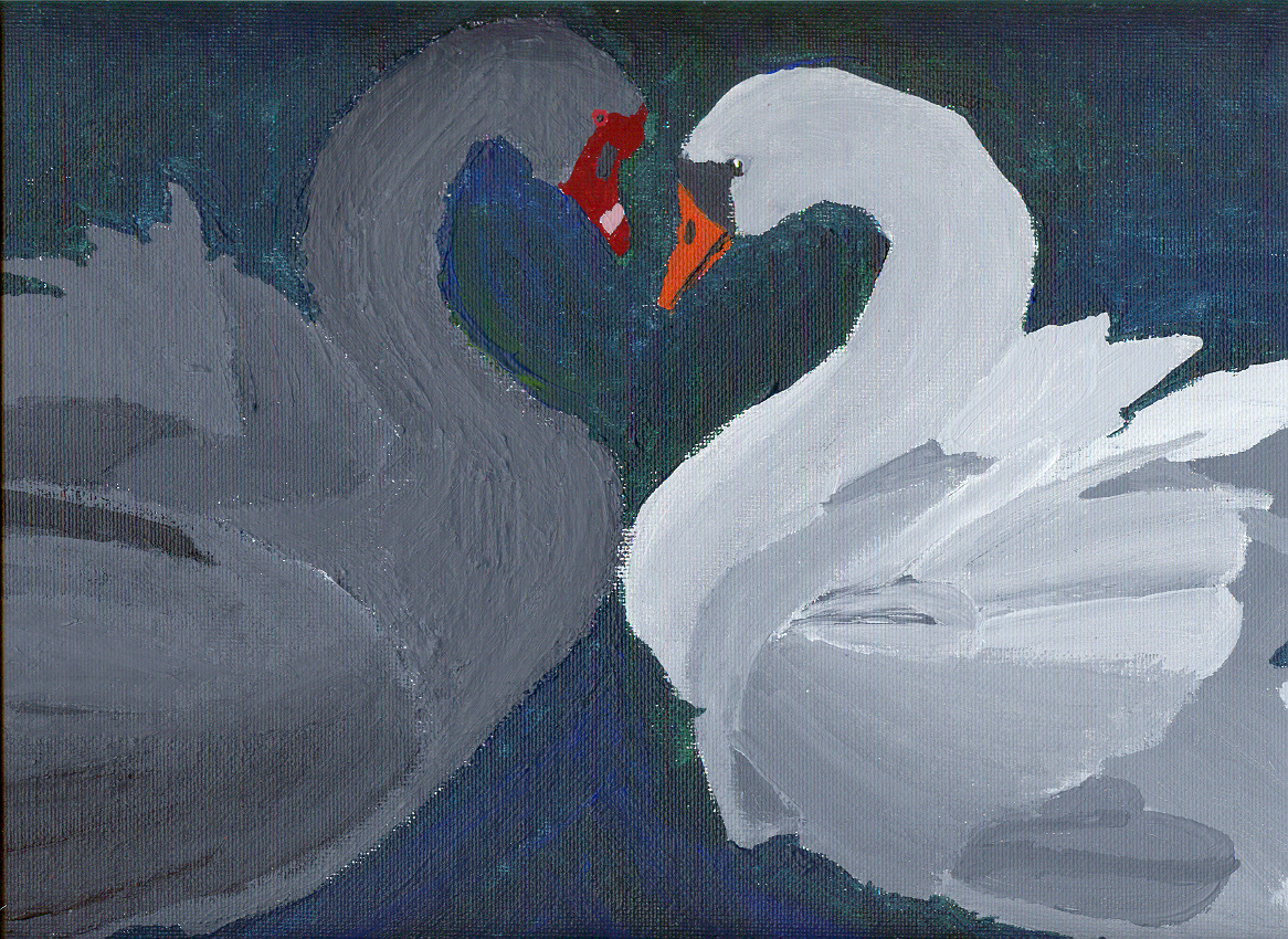 Swans by Flutaciousness