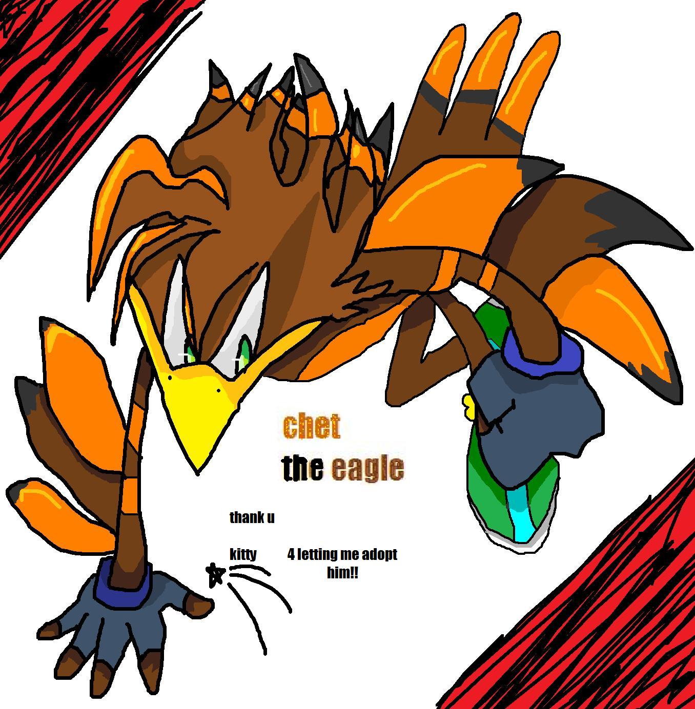 chet my adopted eagle by Forestdahedgehog
