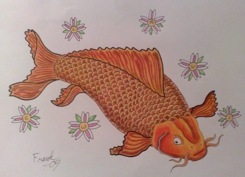 Koi fish by Frankyboy