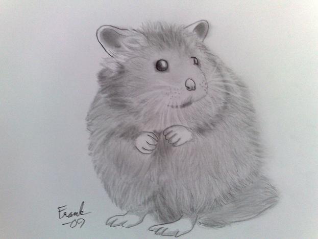 Hamster by Frankyboy