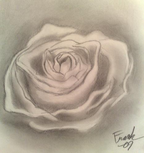 A rose by Frankyboy