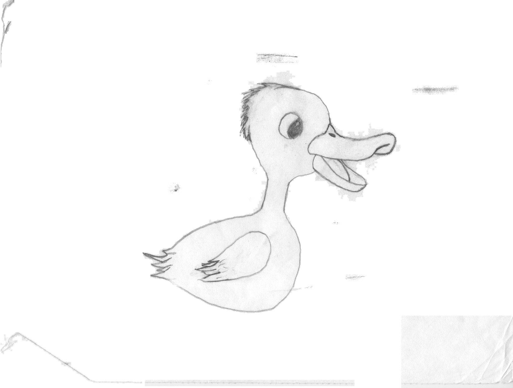 Ducky!!! by FreakOfNature