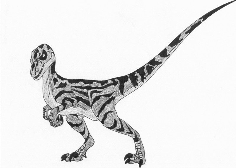 Alpha Female by FreddyJasonV