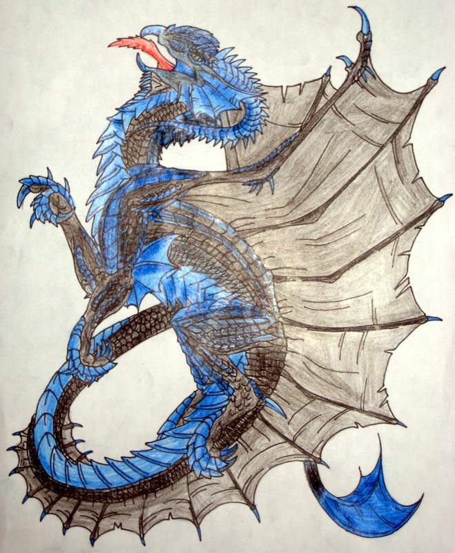 D&D Dragon: Black and Blue by FreddyJasonV