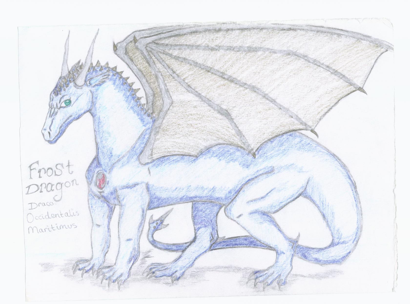 Frost Dragon by Frost_Dragon