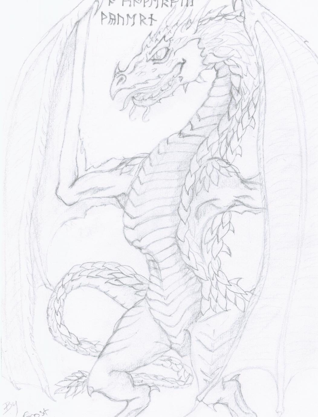 Wyvern Dragon by Frost_Dragon