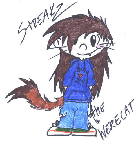 Streakz The WereCat (KND style :3) by Frosteh