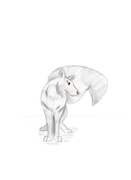 Lone Wolf by FrostySorrow