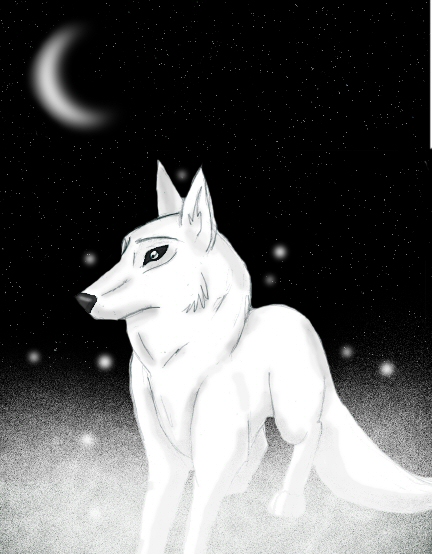 **White Wolf** by FrostySorrow