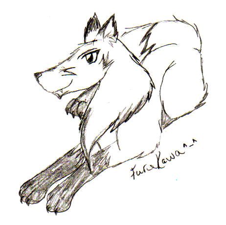 Black and White fox by Furukawa