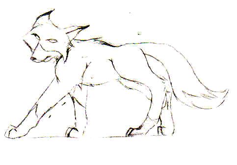 A Fox by Furukawa