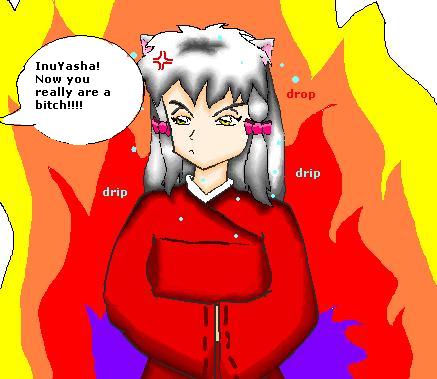 A female InuYasha (after falling into the spring o by fFox__fFire