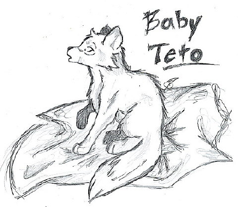 Baby Teto by falkonns_flight
