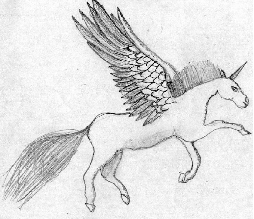 Unicorn by featheredangel