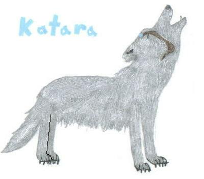 Katara Wolf by fire_wolf46