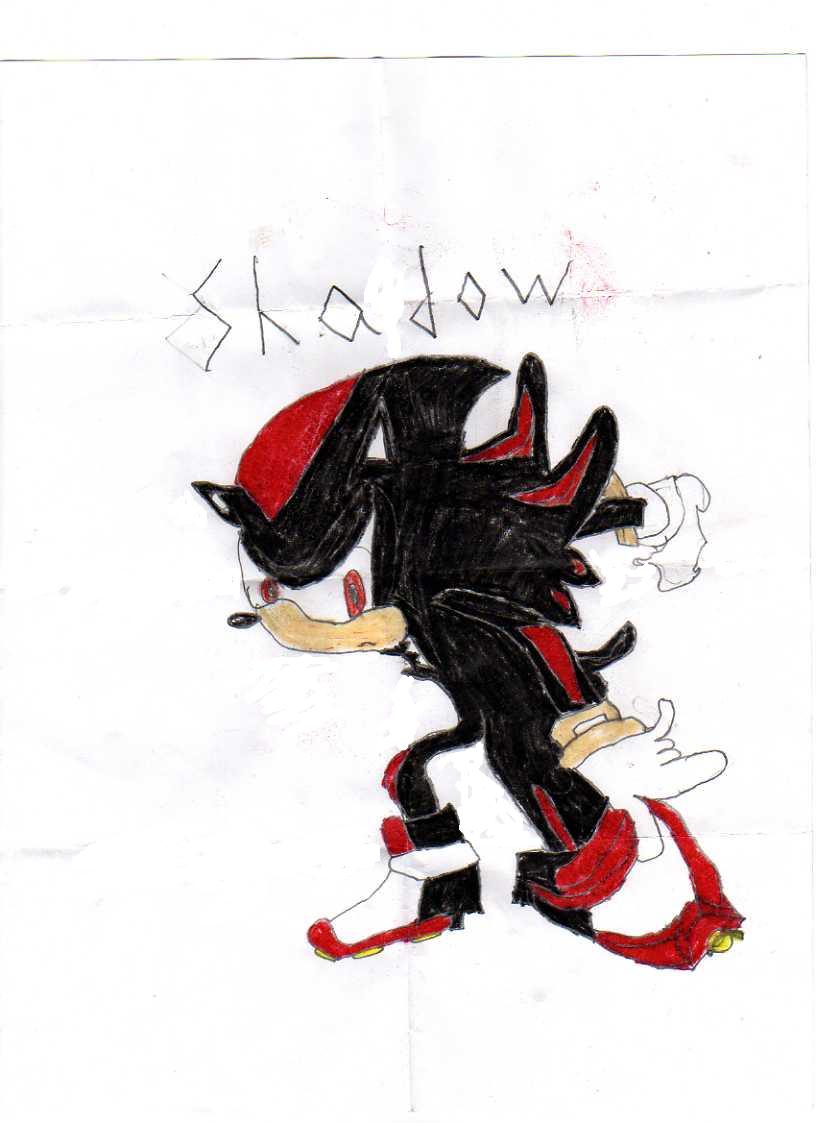 my first drawing of shadow+(coulered) by fireball40131