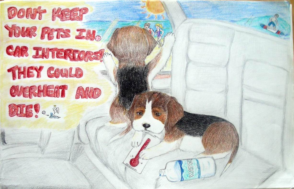 Car Interiors Get Too Hot For Pets! by flamingurl