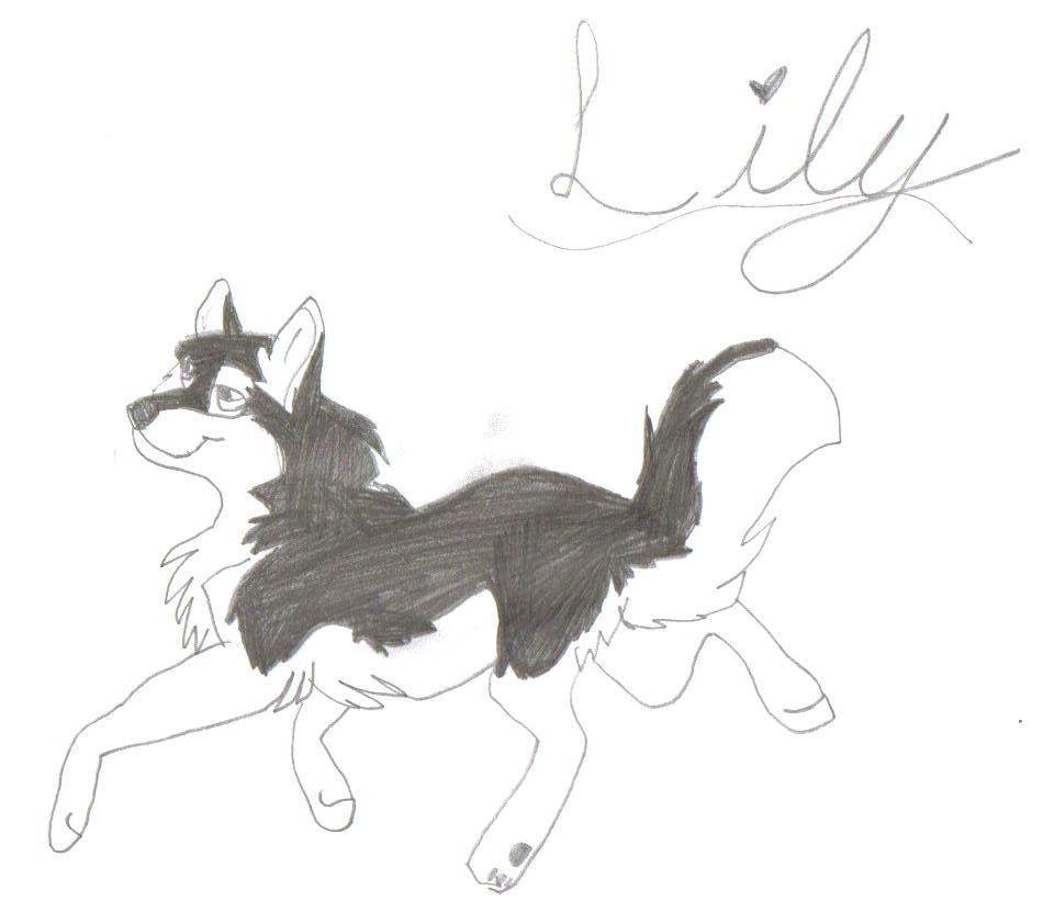 lily by foxybell222