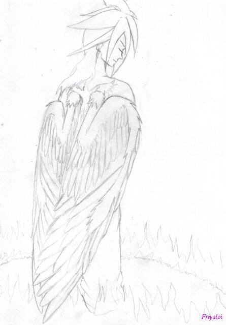 Kai with phoenix wings (scetch) by freyaloi