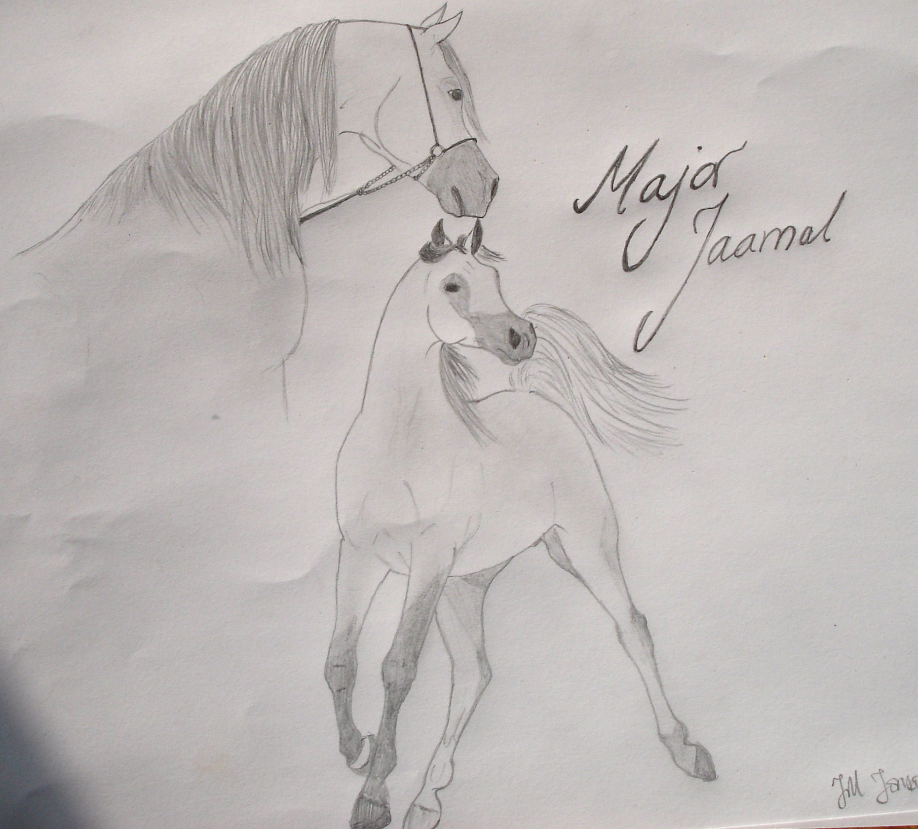 arabian stallion major jaamal by frozen_roze