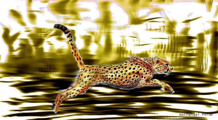 A Cheetah Running by Gameglitch