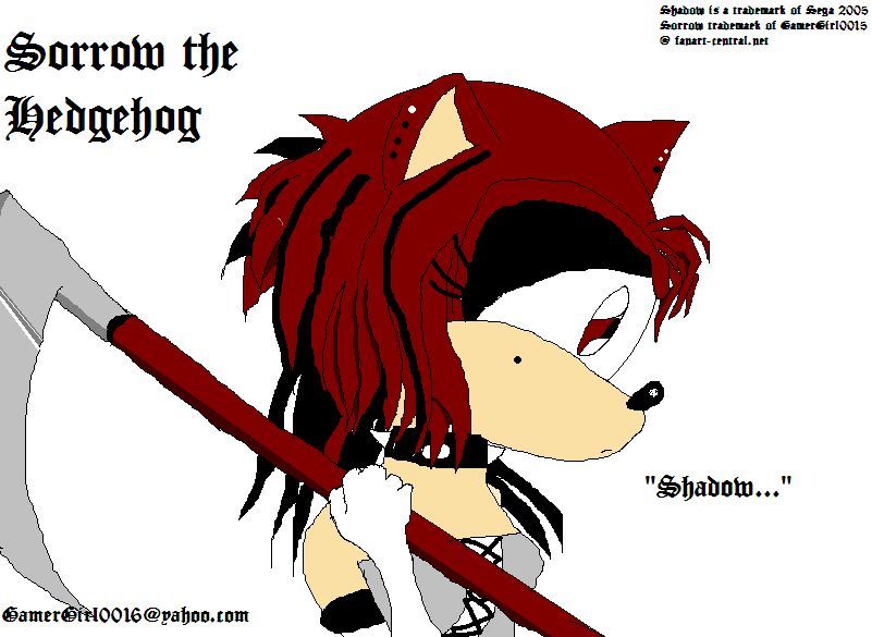 My Character, Sorrow the Hedgehog by GamerGirl0015