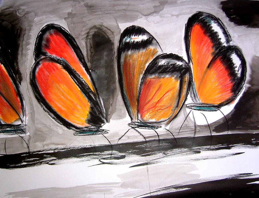butterflies by Gimme