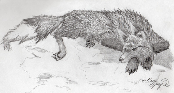 Wolfox (Art Trade) by GoddessOfTheWolves
